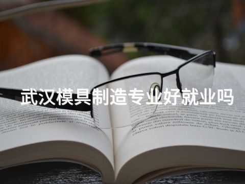 武汉模具制造专业好就业吗