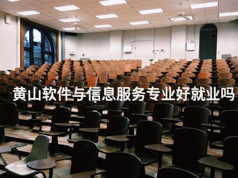 黄山软件与信息服务专业好就业吗