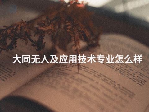 大同无人及应用技术专业怎么样