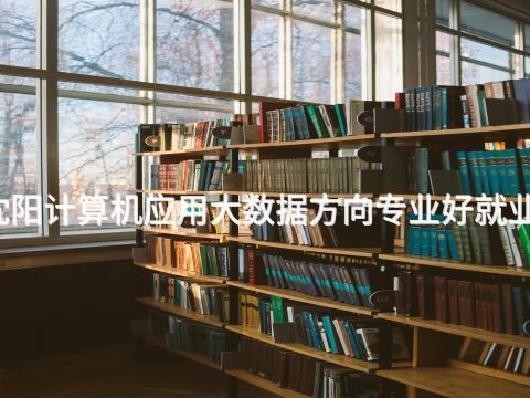 沈阳计算机应用大数据方向专业好就业吗
