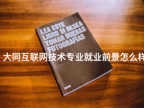 大同互联网技术专业就业前景怎么样