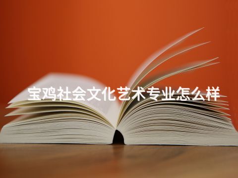 宝鸡社会文化艺术专业怎么样