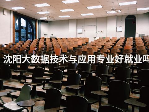 沈阳大数据技术与应用专业好就业吗