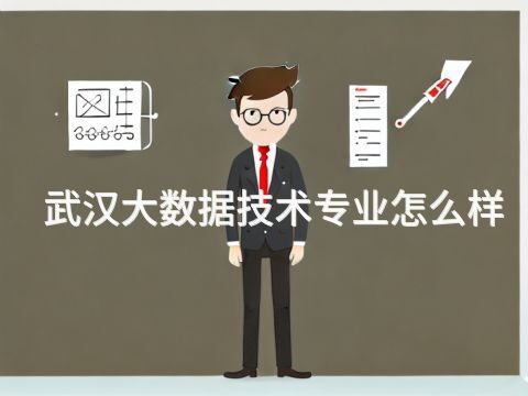 武汉大数据技术专业怎么样(图1) 武汉大数据技术专业怎么样(图1)