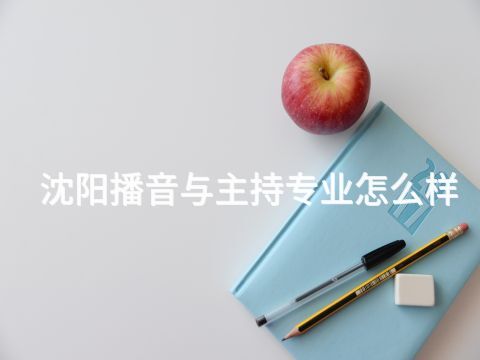沈阳播音与主持专业怎么样