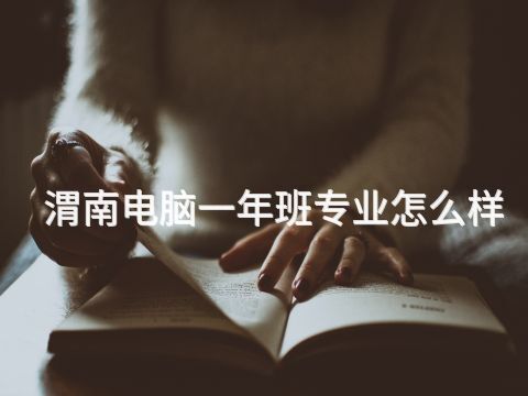 渭南电脑一年班专业怎么样