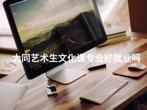大同艺术生文化课专业好就业吗