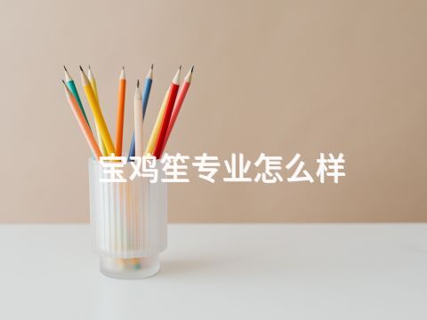 宝鸡笙专业怎么样