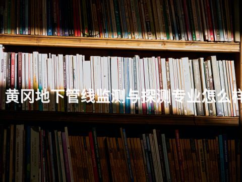 黄冈地下管线监测与探测专业怎么样