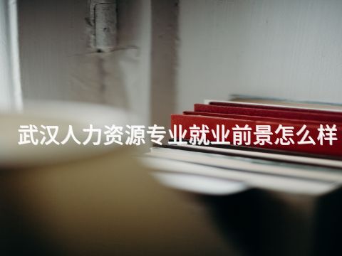 武漢人力資源專業就業前景怎么樣