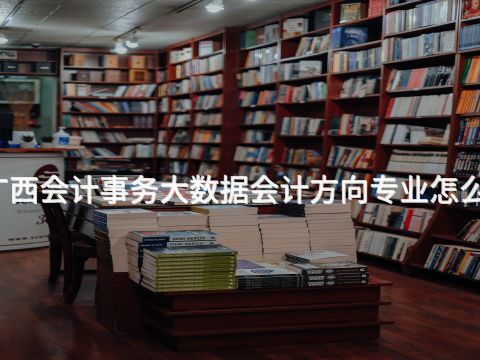 广西会计事务大数据会计方向专业怎么样