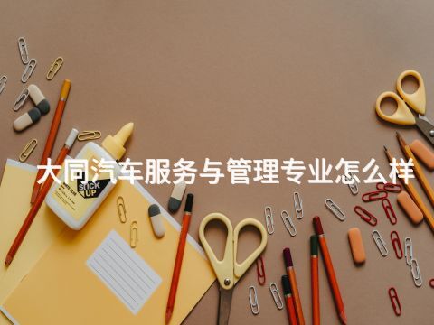 大同汽车服务与管理专业怎么样
