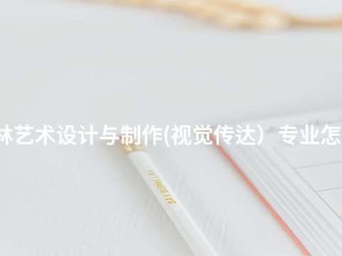 桂林艺术设计与制作(视觉传达）专业怎么样