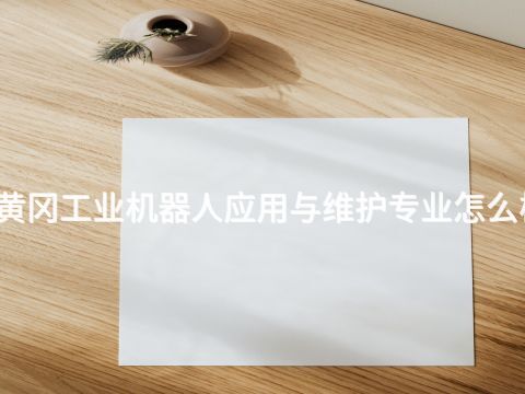 黄冈工业机器人应用与维护专业怎么样