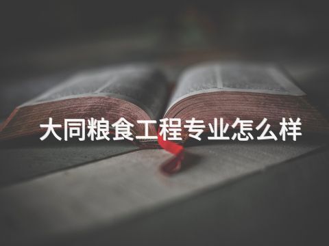 大同粮食工程专业怎么样(图1) 大同粮食工程专业怎么样(图1)