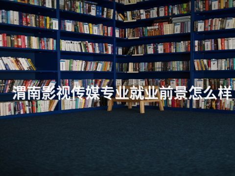 渭南影视传媒专业就业前景怎么样