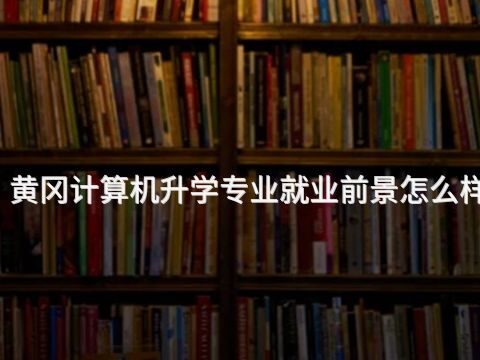 黄冈计算机升学专业就业前景怎么样(图1) 黄冈计算机升学专业就业前景怎么样(图1)