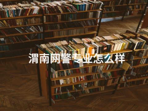 渭南网警专业怎么样