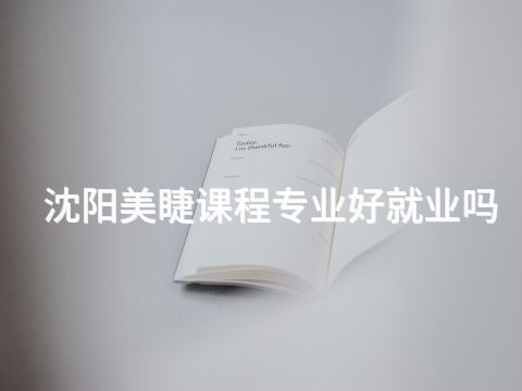 沈阳美睫课程专业好就业吗