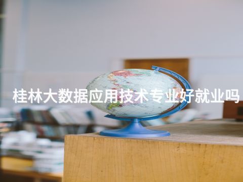 桂林大數據應用技術專業好就業嗎