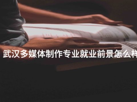 武汉多媒体制作专业就业前景怎么样(图1) 武汉多媒体制作专业就业前景怎么样(图1)