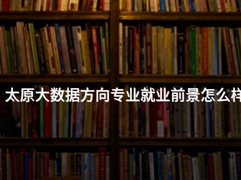 太原大数据方向专业就业前景怎么样