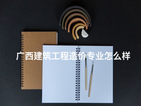 广西建筑工程造价专业怎么样