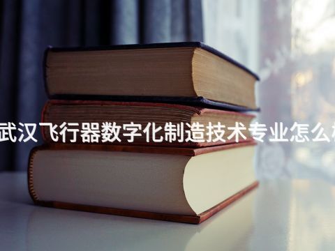 武汉飞行器数字化制造技术专业怎么样