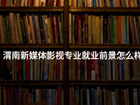 渭南新媒体影视专业就业前景怎么样