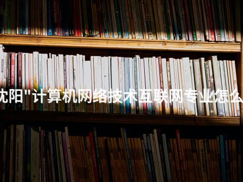 沈阳"计算机网络技术互联网专业怎么样