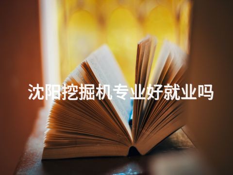 沈阳挖掘机专业好就业吗(图1) 沈阳挖掘机专业好就业吗(图1)