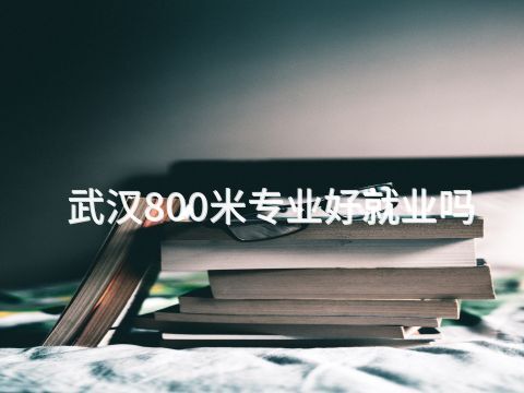 武汉800米专业好就业吗(图1) 武汉800米专业好就业吗(图1)