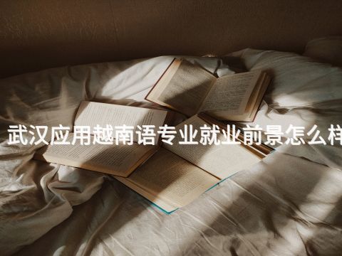 武汉应用越南语专业就业前景怎么样