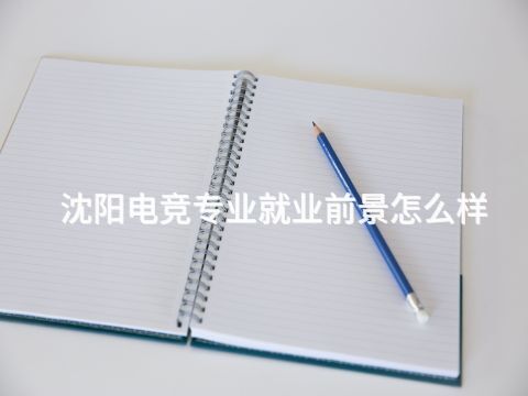 沈阳电竞专业就业前景怎么样
