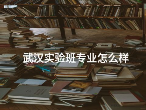 武汉实验班专业怎么样(图1) 武汉实验班专业怎么样(图1)