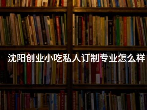 沈阳创业小吃私人订制专业怎么样