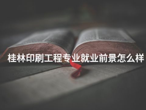 桂林印刷工程专业就业前景怎么样(图1) 桂林印刷工程专业就业前景怎么样(图1)