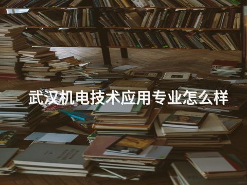 武汉机电技术应用专业怎么样(图1)