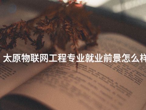 太原物联网工程专业就业前景怎么样