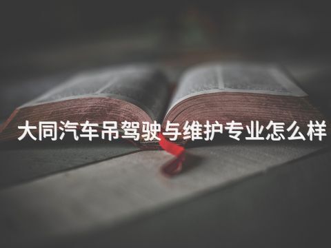 大同汽车吊驾驶与维护专业怎么样
