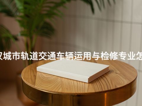 武汉城市轨道交通车辆运用与检修专业怎么样(图1) 武汉城市轨道交通车辆运用与检修专业怎么样(图1)