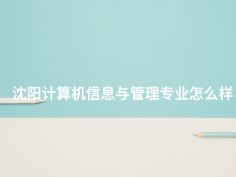 沈阳计算机信息与管理专业怎么样(图1)
