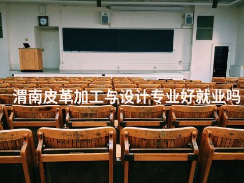 渭南皮革加工与设计专业好就业吗