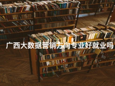 广西大数据营销方向专业好就业吗