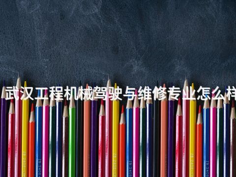 武汉工程机械驾驶与维修专业怎么样(图1) 武汉工程机械驾驶与维修专业怎么样(图1)