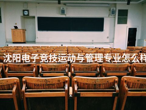 沈阳电子竞技运动与管理专业怎么样