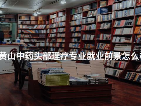 黄山中药头部理疗专业就业前景怎么样
