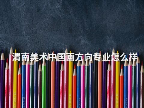 渭南美术中国画方向专业怎么样