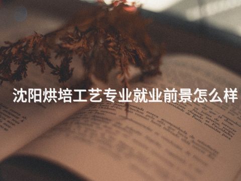 沈阳烘培工艺专业就业前景怎么样