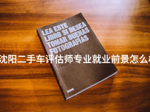 沈阳二手车评估师专业就业前景怎么样(图1) 沈阳二手车评估师专业就业前景怎么样(图1)
